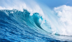 Bitte hindern Sie Ihre Kinder daran, die Natur zu lieben!